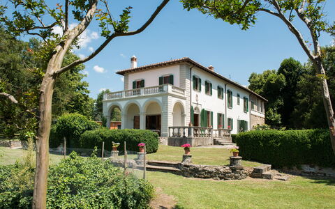Martini: Arbuste, Biens, Hacienda, Manoir, Pelouse, Ferme, Jardin, Villa, Cour, Aménagement Paysager