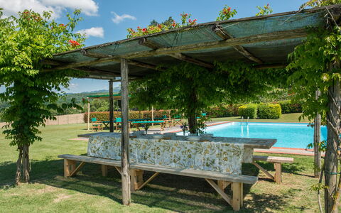 Martini: Ombre, Jardin, Structure En Plein Air, Pergola, Piscine, Aménagement Paysager, Arrière-Cour, Eco Hôtel, Cour, Recours