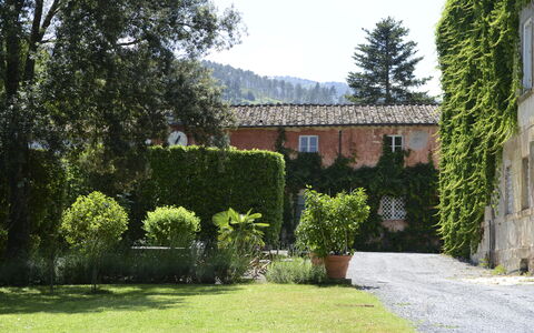 Fattoria: Arbuste, Zone Résidentielle, Maison, Biens, Jardin, Hacienda, Haie, Aménagement Paysager, Cour