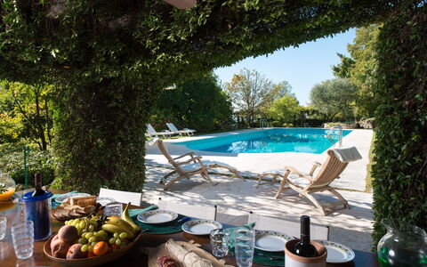 Galero: Bleu, Mobilier De Jardin, Piscine, Été, Loisir, Meubles, Ombre, Chaise, Jardin, Eco Hôtel