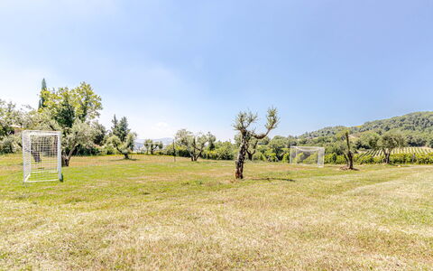 Chateau la Siroque: Arbre, Herbe, Prairie, Lot Terre, Plaine, Prairie, Printemps, Pelouse, Pâturage