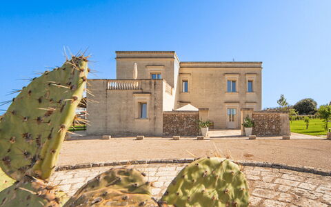 Masseria Ficalindia: Ciel, Façade, Architecture, Domicile, Biens, Manoir, Villa, Aménagement Paysager, Allée