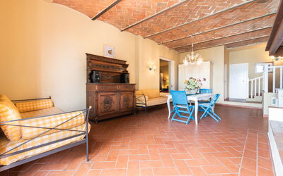 Logement:&nbsp;Mimosa Gialla