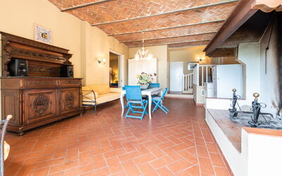Logement:&nbsp;Mimosa Gialla