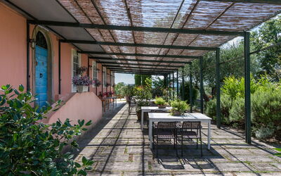 Logement:&nbsp;Vite