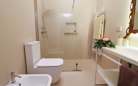Bacchus: Historic Charming Home: Salle De Bains, Siège De Toilette, Luminaire Plomberie, Toilette, Sol, Mur, Sol, Design Intérieur, Lavabo, Évier