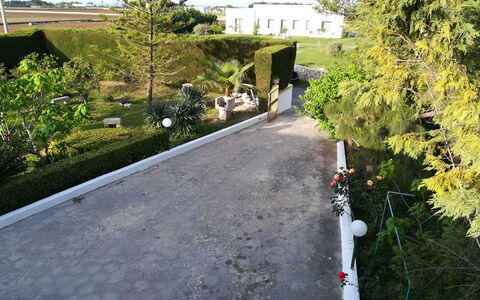 Villa Maddalena: Arbuste, Jardin, Passerelle, Aménagement Paysager, Allée, À Feuilles Persistantes, Haie
