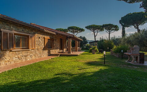Villa Bolgheri Vermentino Castagneto Carducci: Bois, Domicile, Chalet, Maison, Toit, Biens, Lot Terre, Zone Rurale, Ferme, Jardin