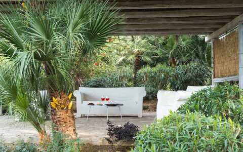 Villa Milo: Végétation, Arbuste, Jardin, Communauté Des Plantes, Mobilier De Jardin, Ombre, Aménagement Paysager, Arrière-Cour, Eco Hôtel