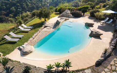 Villa Milo: Bleu, L'Eau, Piscine, Recours, Loisir, Mobilier De Jardin, Vacances, Tropiques, Eco Hôtel, Parapluie