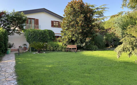 Villa Ava: Herbe, Maison, Jardin, Arbuste, Zone Résidentielle, Domicile, Pelouse, Lot Terre, Arrière-Cour