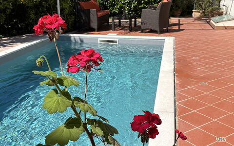 Villa Ava