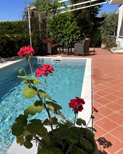 Villa Ava: Pot De Fleur, Piscine, Jardin, Ombre, Plante D'Appartement, Aménagement Paysager, Arrière-Cour, Cour, Caractéristique De L'Eau