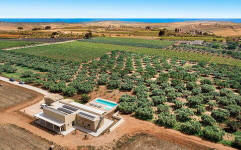 Villa Clemente: Paysage, Plaine, Lot Terre, Photographie Aérienne, Vue Du Ciel, Plantation, Champ, Biens, Agriculture, Ferme