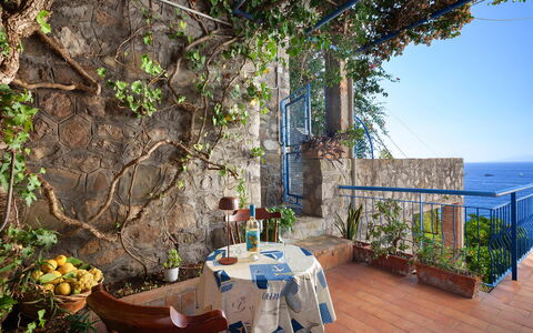 Sea Scent: Bleu, Pot De Fleur, Plante D'Appartement, Balcon, Art Floral, Floristique