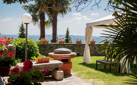 Mariuccia 3: Pot De Fleur, Ombre, Jardin, Recours, Mobilier De Jardin, Aménagement Paysager, Plante D'Appartement, Eco Hôtel, Tableau De Plein Air