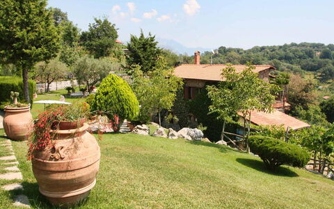 The Sea Farmhouse: Paysage, Arbuste, Jardin, Zone Rurale, Pelouse, Aménagement Paysager, Arrière-Cour, Cour, Ombre