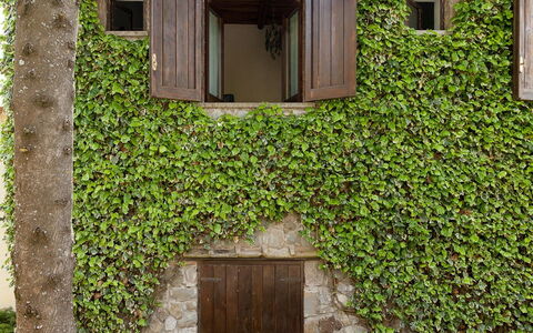 The Sea Farmhouse: Mur, Vert, Arbuste, Printemps, Jardin, Mur De Pierre, Ombre, Haie, Accueil Porte