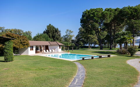 Villa Brin: Piscine, Zone Résidentielle, Maison, Domicile, Ombre, Recours, Ferme, Biens, Chalet, Jardin