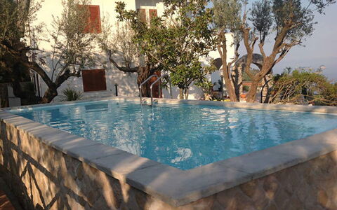 Villa Sea Breeze: Piscine, Composite, Caractéristique De L'Eau, Recours, Eco Hôtel, Arrière-Cour, Mobilier De Jardin, Plante D'Appartement, Villa, Pot De Fleur