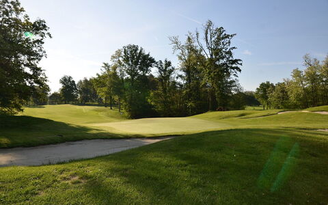 Verbano: Arbre, Herbe, Prairie, Plaine, Lot Terre, Terrain De Golf, Prairie, Pâturage