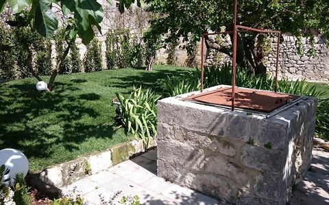 Villa Acreide: Arbuste, Roche, Jardin, Couverture De Sol, Arrière-Cour, Dalle, Aménagement Paysager, Ombre, Cour