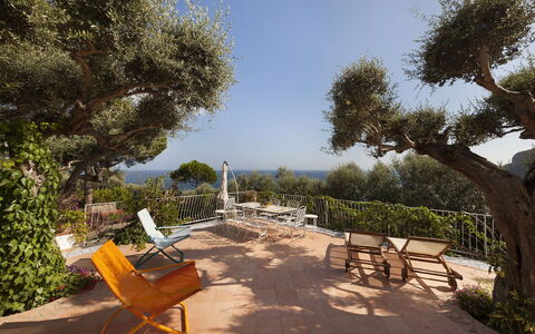 Villa Avion: Arbre, Arbuste, Paysage, Jardin, Mobilier De Jardin, Ombre, Aménagement Paysager, Cour, Chaise