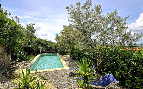 Villa del Mare: Bleu, Arbuste, Jardin, Aménagement Paysager, Arrière-Cour, Piscine, Ombre, Cour, Caractéristique De L'Eau, Passerelle
