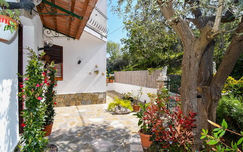 Villa del Mare: Fleur, Pot De Fleur, Jardin, Dalle, Plante D'Appartement, Aménagement Paysager, Cour, Arrière-Cour, Hacienda