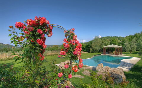 Villa Incanto: Fleur, Arbuste, Jardin, Pétale, Printemps, Plante À Fleurs, Famille Rose, Roses Jardin, Aménagement Paysager, Plantation