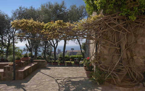 Villa Torre del Sole: Printemps, Pot De Fleur, Ombre, Jardin, Dalle, Aménagement Paysager, Plante D'Appartement, Passerelle