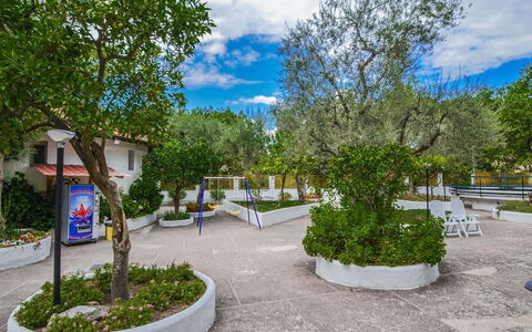 Casa Primavera: Suppression Des Plantes Ligneuses, Ombre, Jardin, Aménagement Paysager, Cour, Hacienda, Allée, Cour, Arrière-Cour