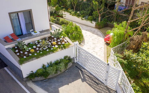 Suite Agave: Arbuste, Jardin, Design Urbain, Aménagement Paysager, Cour, Arrière-Cour, Balcon, Cour, Passerelle