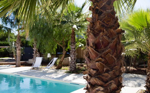 Villa Salentina: Piscine, Suppression Des Plantes Ligneuses, Recours, Eco Hôtel, Ombre, Tropiques