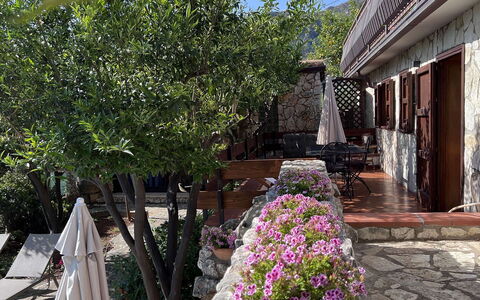 Villa Romy: Pot De Fleur, Dalle, Ombre, Jardin, Plante D'Appartement, Cour, Pavé, Tableau De Plein Air, Mobilier De Jardin