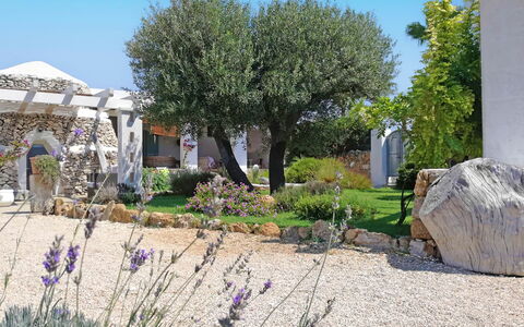 Villa la Rezza: Arbuste, Jardin, Couverture De Sol, Aménagement Paysager, Cour, Ombre, Arrière-Cour, Pelouse, Conception