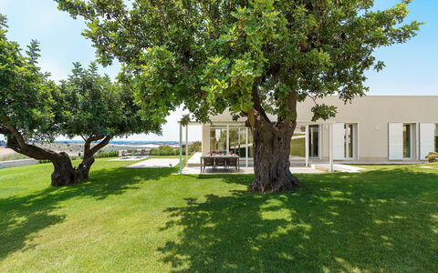 Green Hill: Domicile, Ombre, Jardin, Pelouse, Biens, Aménagement Paysager, Cour, Parc, Villa, Allée