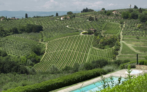 Villa Chianti: Plantation, Agriculture, Paysage, Arbuste, Lot Terre, Zone Rurale, Station De Montagne, Champ, Couverture De Sol, Vignoble