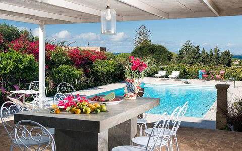 The Flower Garden: Meubles, Table, Pot De Fleur, Mobilier De Jardin, Chaise, Recours, Tableau De Plein Air, Jardin, Piscine