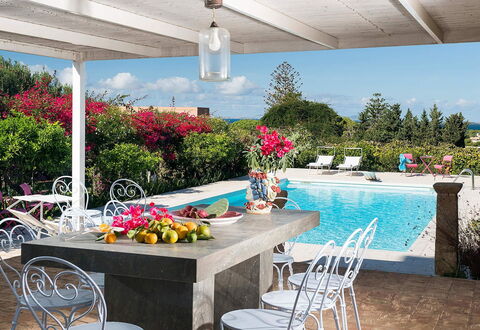 The Flower Garden: Meubles, Table, Pot De Fleur, Mobilier De Jardin, Chaise, Recours, Tableau De Plein Air, Jardin, Piscine