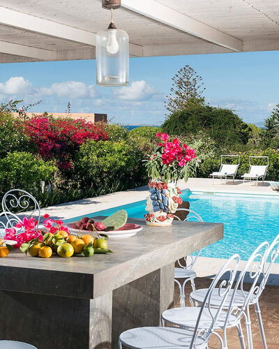The Flower Garden: Meubles, Table, Pot De Fleur, Mobilier De Jardin, Chaise, Recours, Tableau De Plein Air, Jardin, Piscine