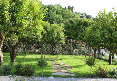 Mermaid Villa: Feuille, Arbuste, Jardin, Printemps, Suppression Des Plantes Ligneuses, Pelouse, Ombre, Cour, Arrière-Cour