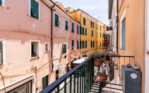 Milena: Quartier, Appartement, Balcon, Le Fer, Peindre, Plante D'Appartement, Pot De Fleur