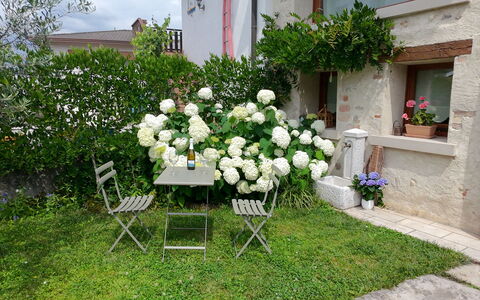 La Casetta dei Palù, Valdobbiadene: Fleur, Arbuste, Jardin, Printemps, Plante À Fleurs, Arrière-Cour, Aménagement Paysager, Pot De Fleur, Cour, Pelouse
