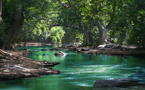 La Casetta dei Palù, Valdobbiadene: Ressources En Eau, L'Eau, Plan D'Eau, Arbre, La Nature, Environnement Naturel, Cours D'Eau, Branche, Végétation, Paysage Naturel