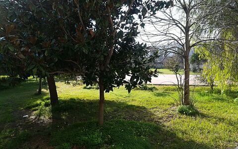 Noemi'S House in Otranto: Feuille, Arbuste, Tronc, Suppression Des Plantes Ligneuses, Jardin, Ombre, Aménagement Paysager, Pelouse, Cour, Parc