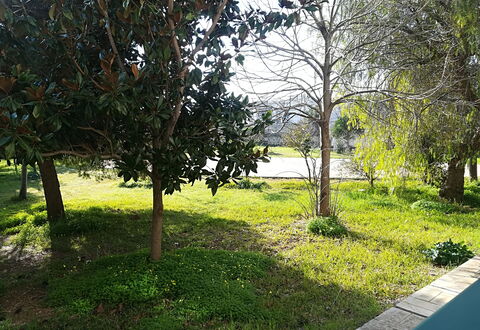 Noemi'S House in Otranto: Feuille, Branche, Arbuste, Jardin, Tronc, Suppression Des Plantes Ligneuses, Pelouse, Ombre, Aménagement Paysager, Cour