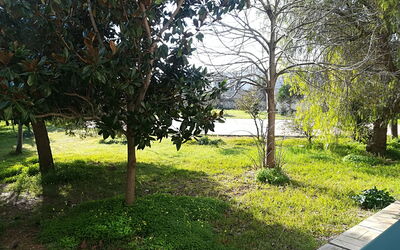 Noemi'S House in Otranto: Feuille, Branche, Arbuste, Jardin, Tronc, Suppression Des Plantes Ligneuses, Pelouse, Ombre, Aménagement Paysager, Cour