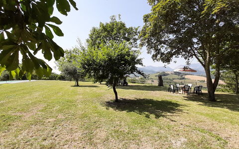 Villa Felice, Private Pool and Hills: Arbre, Herbe, Branche, Plaine, Paysage, Prairie, Lot Terre, Lumière Du Soleil, Pelouse, Prairie