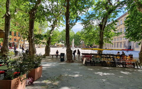 Casa Elena 13: Arbre, Surface De La Route, Espace Public, Quartier, Rue, Ombre, Centre De La Ville, Place, Mobilier De Jardin, Parking